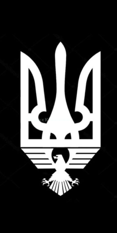 Kyiv escort : Kapital - photo 1